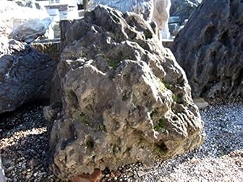 Amazon.co.jp: 貴船石 No.007 庭石 : DIY・工具・ガーデン